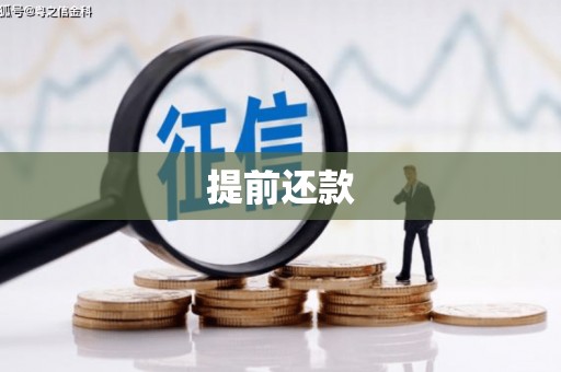 德庆提前还款