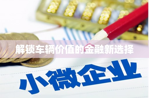 德庆解锁车辆价值的金融新选择