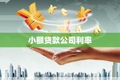 德庆小额贷款公司利率