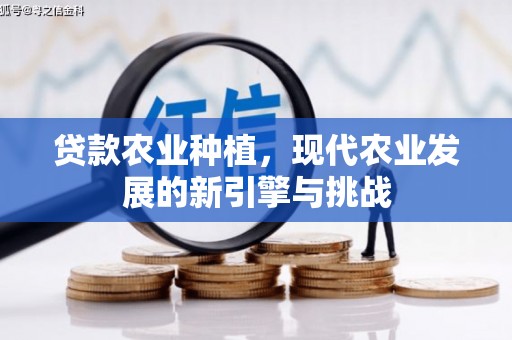 德庆贷款农业种植，现代农业发展的新引擎与挑战