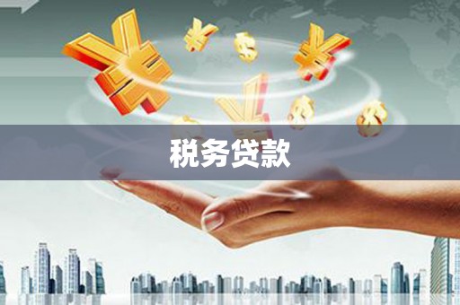 德庆税务贷款