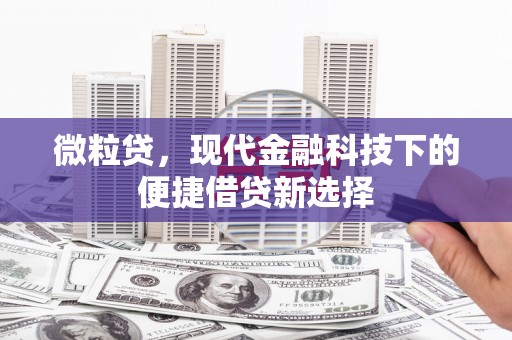 德庆微粒贷，现代金融科技下的便捷借贷新选择