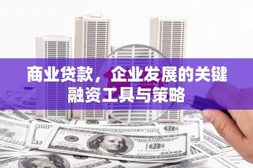 德庆商业贷款，企业发展的关键融资工具与策略