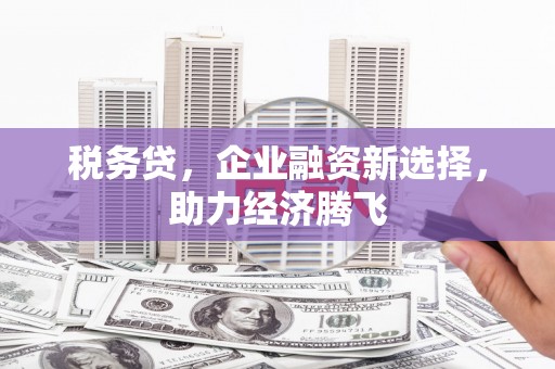 德庆税务贷，企业融资新选择，助力经济腾飞