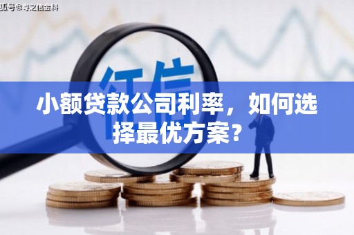 德庆小额贷款公司利率，如何选择最优方案？