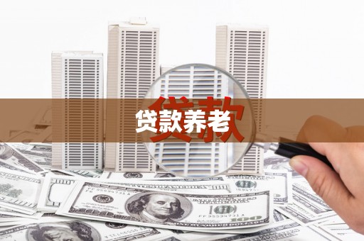 德庆贷款养老