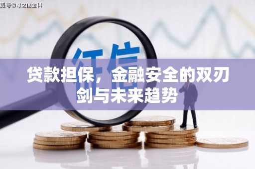 德庆贷款担保，金融安全的双刃剑与未来趋势