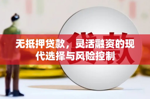 德庆无抵押贷款，灵活融资的现代选择与风险控制