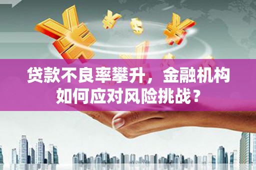 德庆贷款不良率攀升，金融机构如何应对风险挑战？