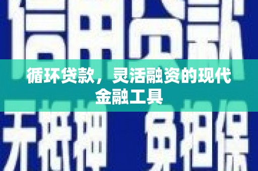 德庆循环贷款，灵活融资的现代金融工具
