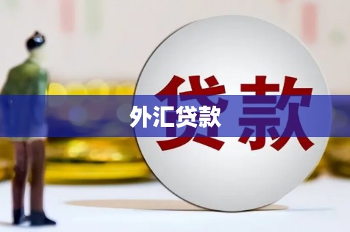 德庆外汇贷款