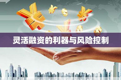 德庆灵活融资的利器与风险控制