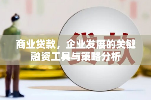 德庆商业贷款，企业发展的关键融资工具与策略分析