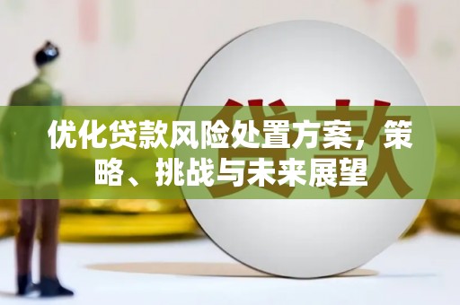 德庆优化贷款风险处置方案，策略、挑战与未来展望