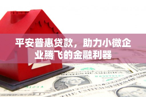 德庆平安普惠贷款，助力小微企业腾飞的金融利器