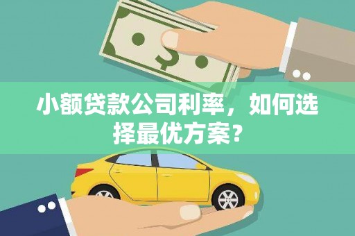 德庆小额贷款公司利率，如何选择最优方案？