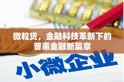 德庆微粒贷，金融科技革新下的普惠金融新篇章