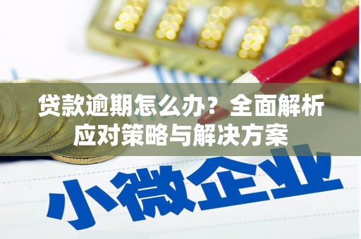 德庆贷款逾期怎么办？全面解析应对策略与解决方案