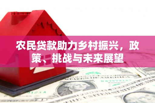 德庆农民贷款助力乡村振兴，政策、挑战与未来展望