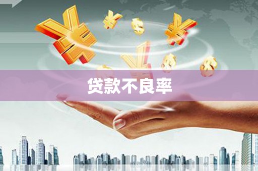 德庆贷款不良率