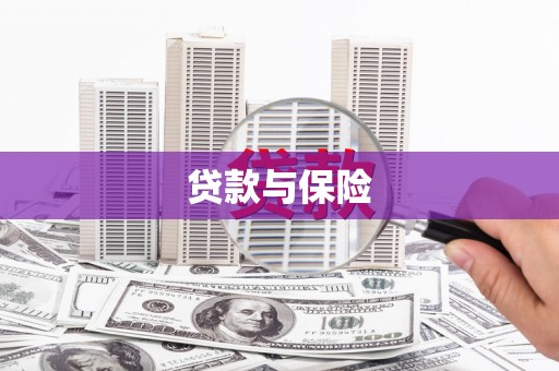 德庆贷款与保险