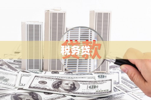 德庆税务贷