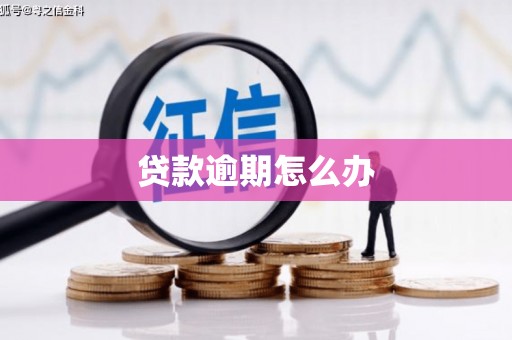 德庆贷款逾期怎么办