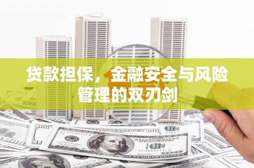 德庆贷款担保，金融安全与风险管理的双刃剑