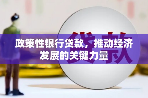德庆政策性银行贷款，推动经济发展的关键力量