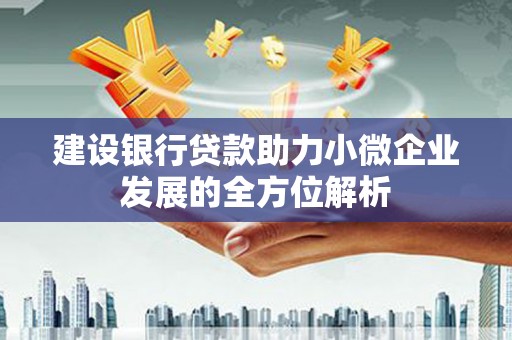 德庆建设银行贷款助力小微企业发展的全方位解析
