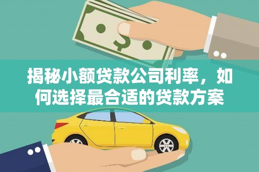 德庆揭秘小额贷款公司利率，如何选择最合适的贷款方案