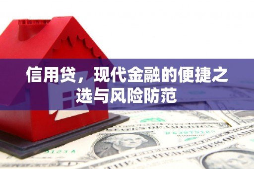 德庆信用贷，现代金融的便捷之选与风险防范