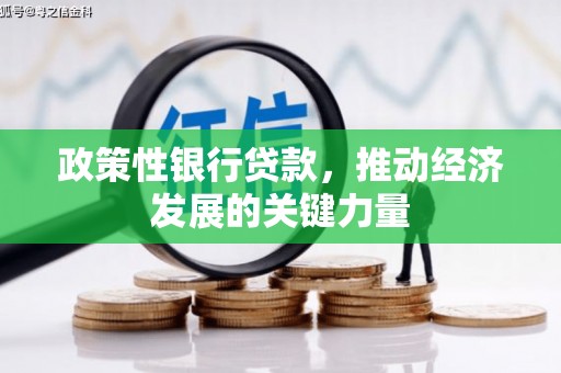 德庆政策性银行贷款，推动经济发展的关键力量