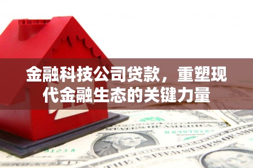 德庆金融科技公司贷款，重塑现代金融生态的关键力量