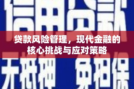 德庆贷款风险管理，现代金融的核心挑战与应对策略
