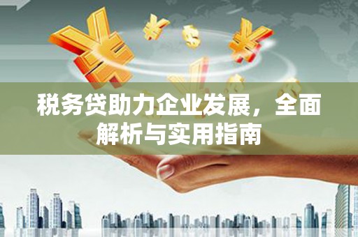 德庆税务贷助力企业发展，全面解析与实用指南