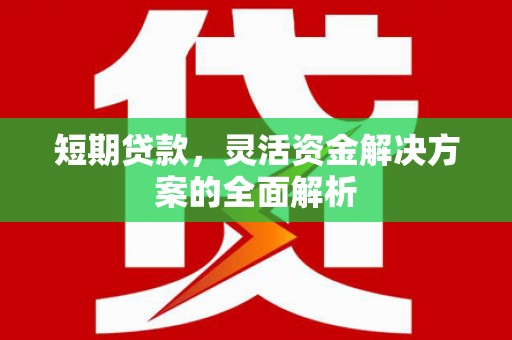 德庆短期贷款，灵活资金解决方案的全面解析