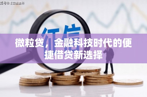 德庆微粒贷，金融科技时代的便捷借贷新选择