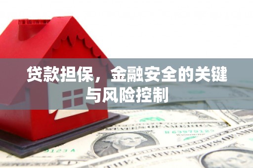 德庆贷款担保，金融安全的关键与风险控制