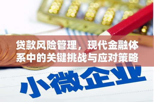 德庆贷款风险管理，现代金融体系中的关键挑战与应对策略