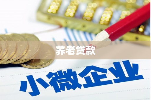 德庆养老贷款
