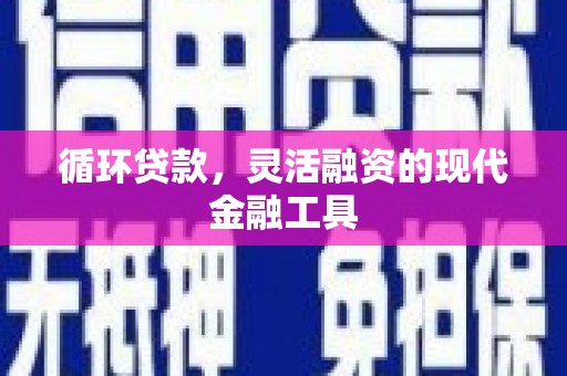 德庆循环贷款，灵活融资的现代金融工具