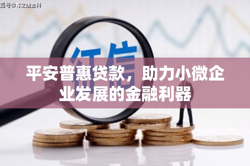 德庆平安普惠贷款，助力小微企业发展的金融利器