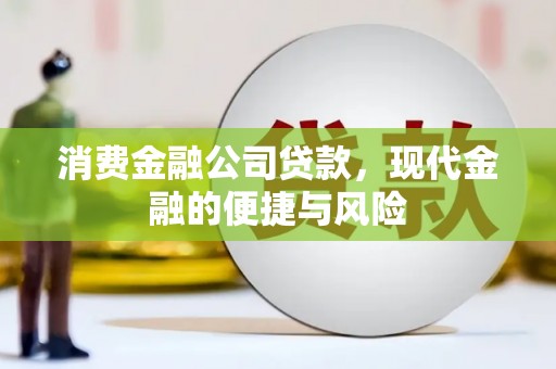德庆消费金融公司贷款，现代金融的便捷与风险