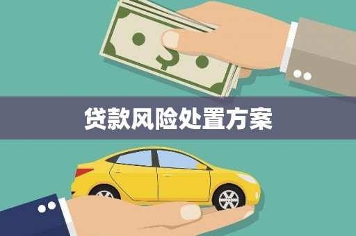 德庆贷款风险处置方案