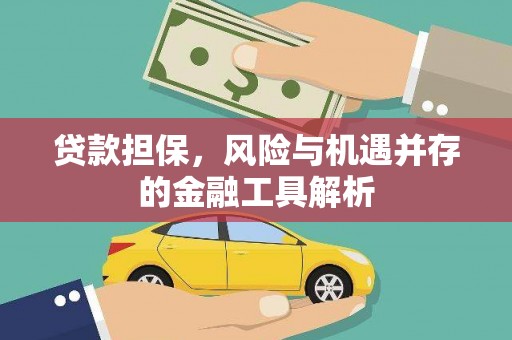 德庆贷款担保，风险与机遇并存的金融工具解析