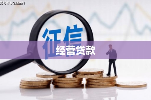 德庆经营贷款