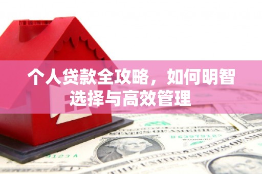 德庆个人贷款全攻略，如何明智选择与高效管理