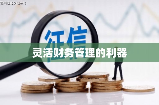 德庆灵活财务管理的利器