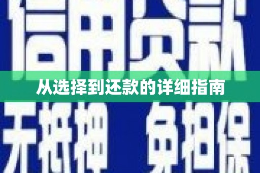 德庆从选择到还款的详细指南